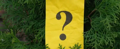 Árbol De Decisiones