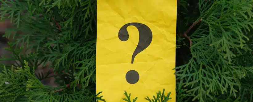 Árbol De Decisiones