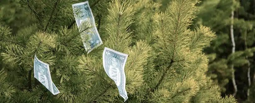 Lavado De Dinero En El Sector Financiero