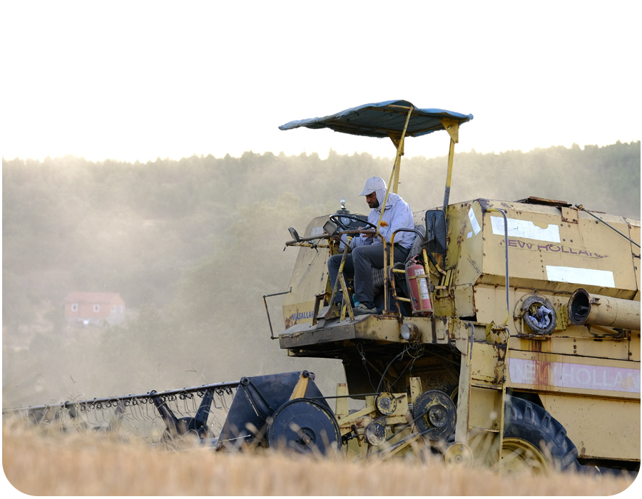 Sector agrícola