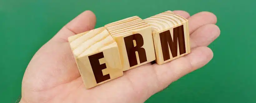Desempeño en COSO ERM
